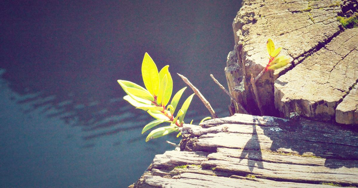 7c37d761-7e70-390e-883d-b0b9de2c8de5