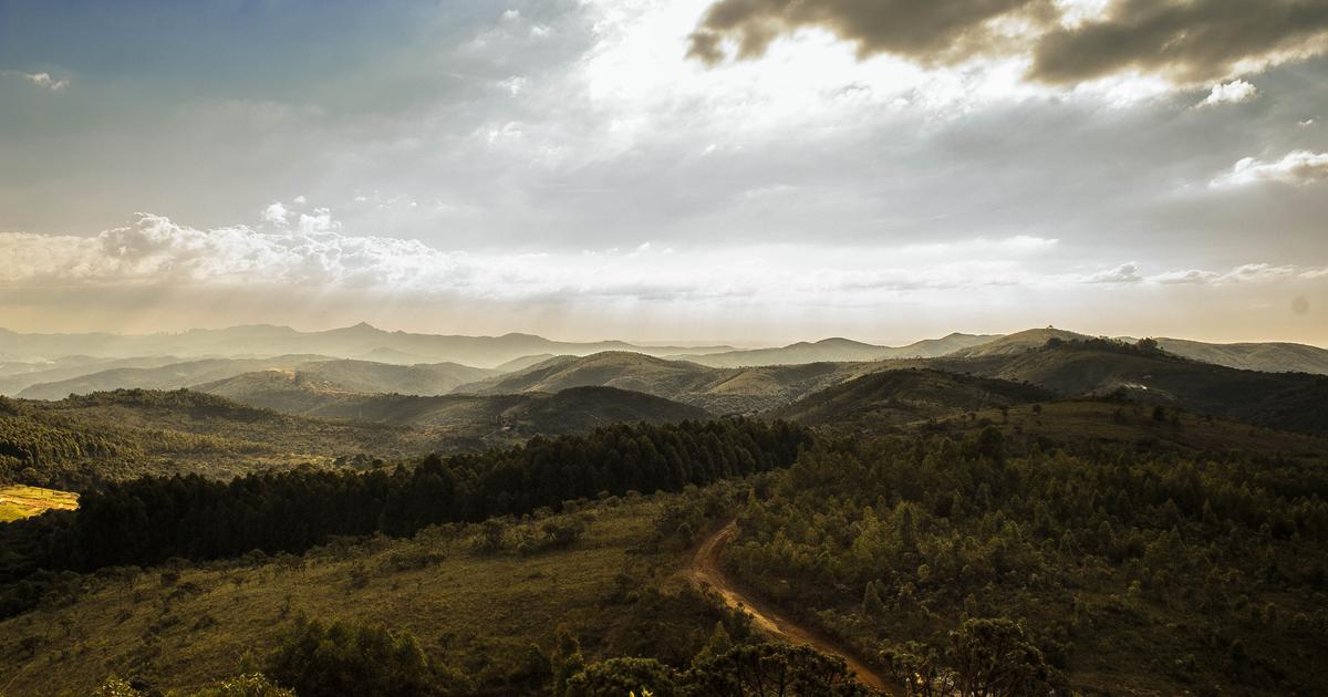 8ac8ff49-1bd5-36bc-812e-11c2ce366121