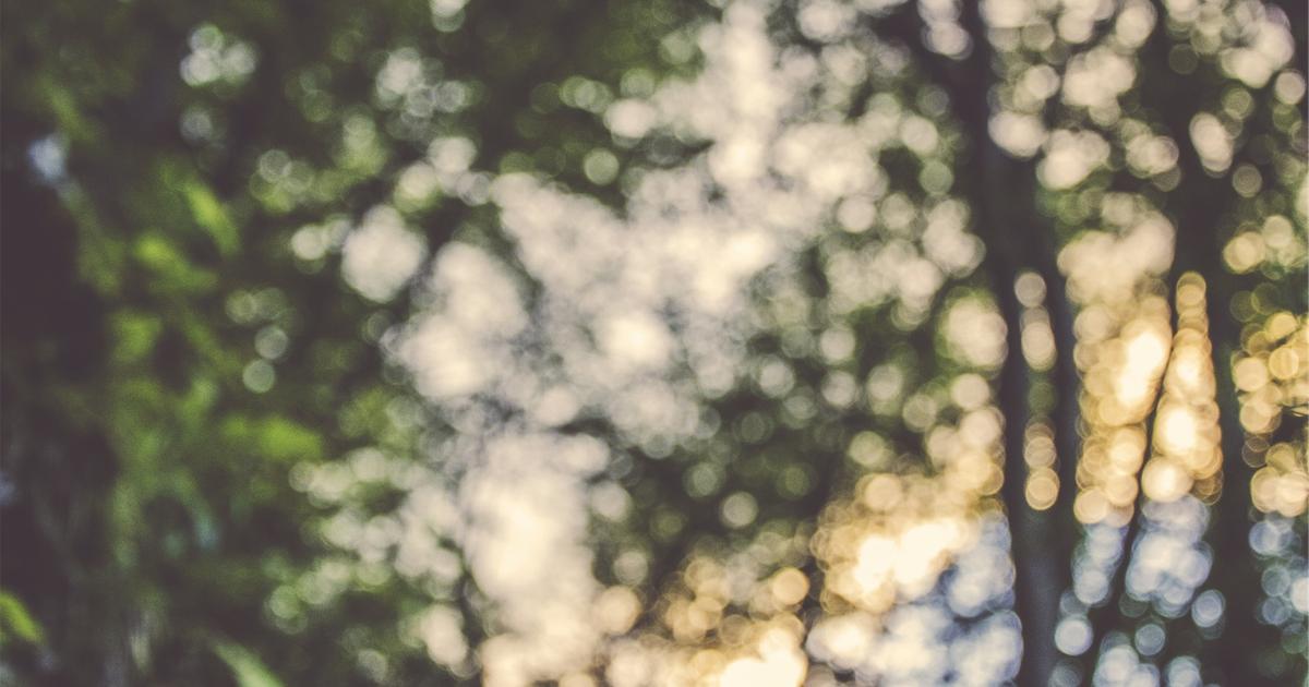 fc124e66-3478-3f84-87f0-c38eab4079e6